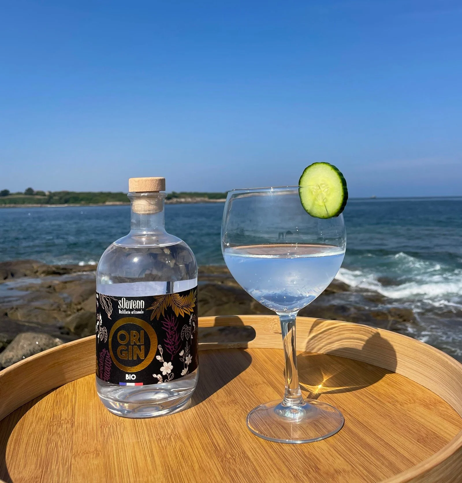 Ori Gin bio