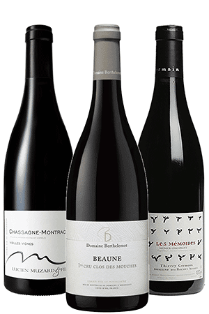 Sélection de vins pour vos volailles de Fêtes | 6 bouteilles