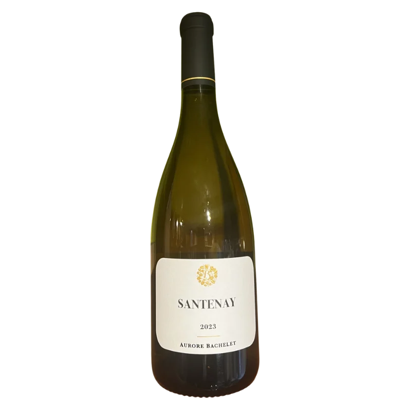 SANTENAY BLANC AURORE BACHELET