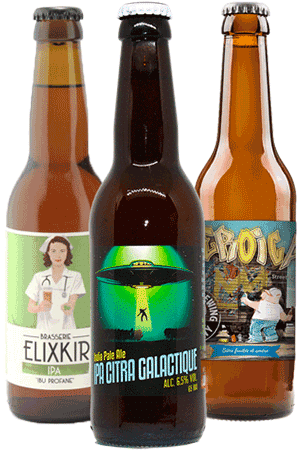 Sur la route des Indes – Les IPA incontournables – Coffret 10 Bières