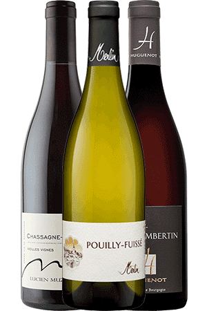 Sur la route des vins de Bourgogne | Sélection de 3 bouteilles de vin