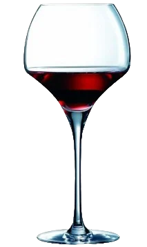 VERRE A PIED TANNIC 55CL