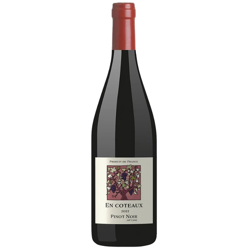 VIN DE FRANCE PINOT NOIR EN COTEAUX JEFF CARREL